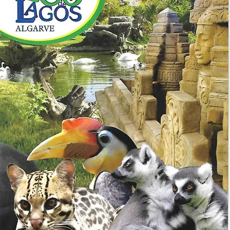 Oasis, Piscina, Jacuzzi, Tenis E Praias! ヴィラ