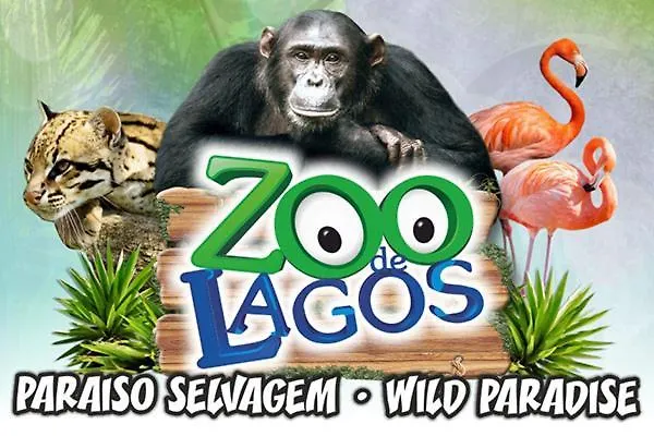 Oasis, Piscina, Jacuzzi, Ténis E Praias! Villa