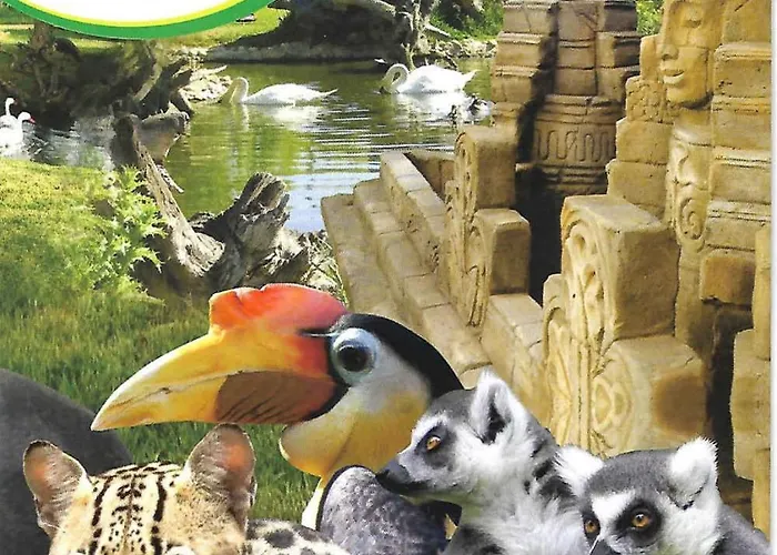 Oasis, Piscina, Jacuzzi, Ténis E Praias! Villa